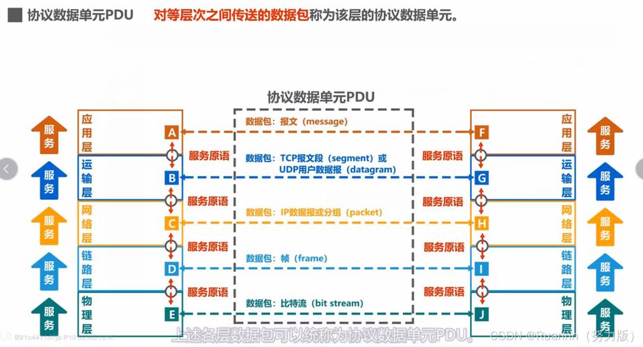 网络层分组与互联网数据服务 解析IP数据报的核心机制